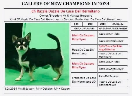 Ficha de nuevos campeones de 2024 de Razzle Dazzle De Casa Del Hermitano con su pedigrí: padres, abuelos y bisabuelos